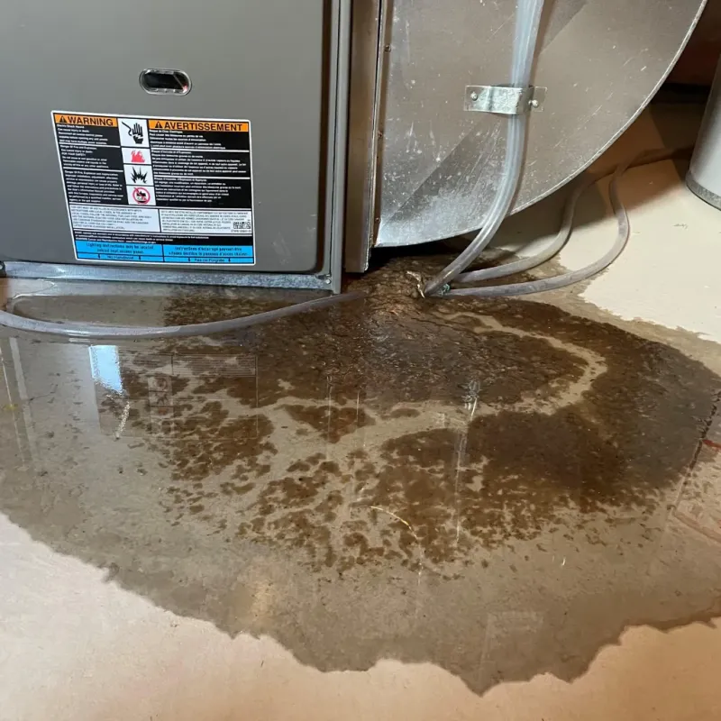 Appliance Leak Cleanup in Rushmere, VA